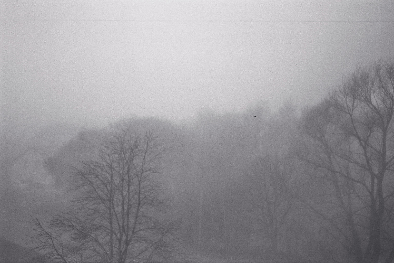 fog